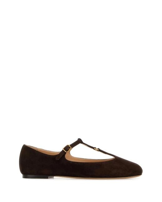 Chloé Brown Chloe Ballerinas