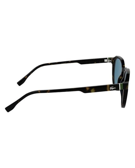 Lacoste Black Injected Sunglasses for men