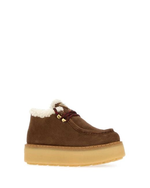 Prada Brown Evolve