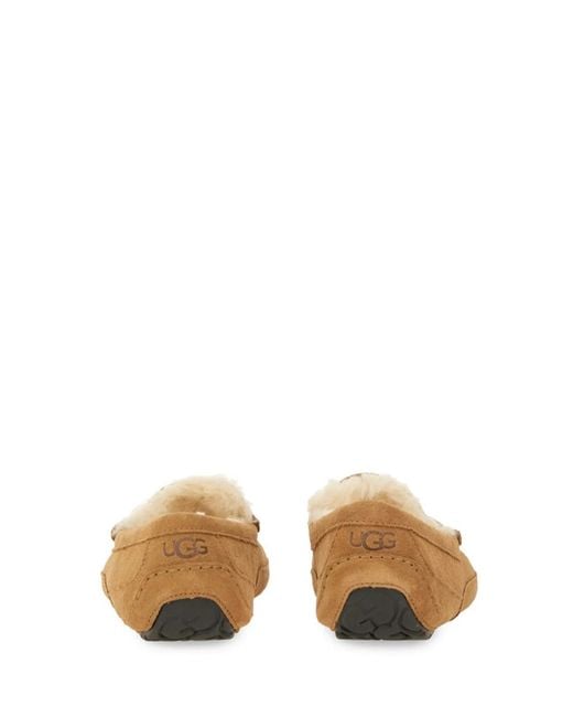 Ugg Brown Slip-On Loafer "Linscot" for men