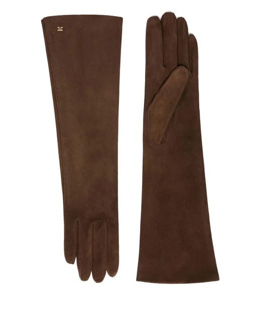 Max Mara Brown "Afideesuede" Long Gloves