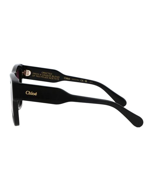 Chloé Brown Acetate Sunglasses