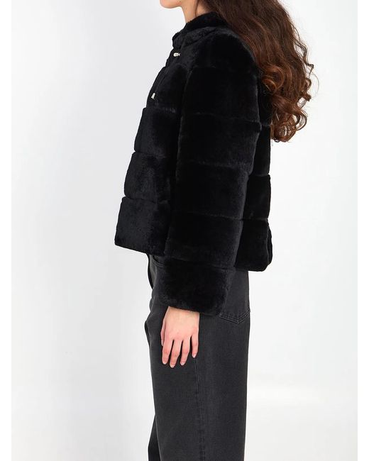 Yves Salomon Black Reversible Fur