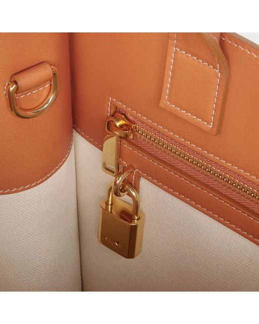 Céline Pink Mini Vertical Handbag