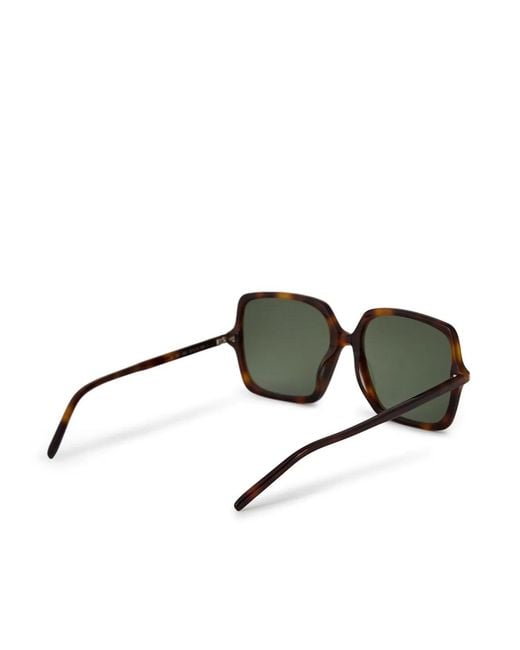 Saint Laurent Brown Sl591 Logo Sunglasses