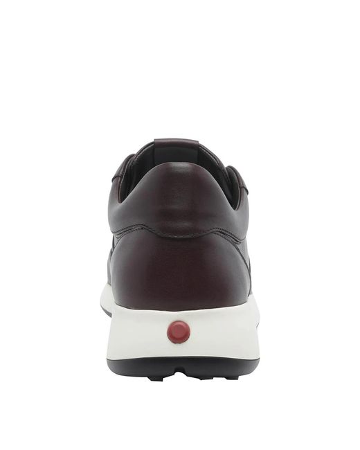Tod's Brown Dot Sneakers for men