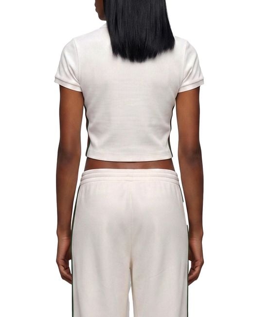 Gucci White Cotton Jersey Ribbed Polo With Web