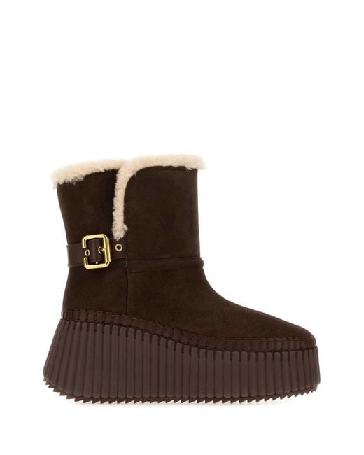 Chloé Brown Chloe 14M