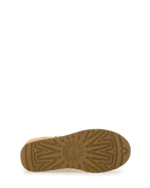 Ugg Brown Boot "Classicl Tall Ii"