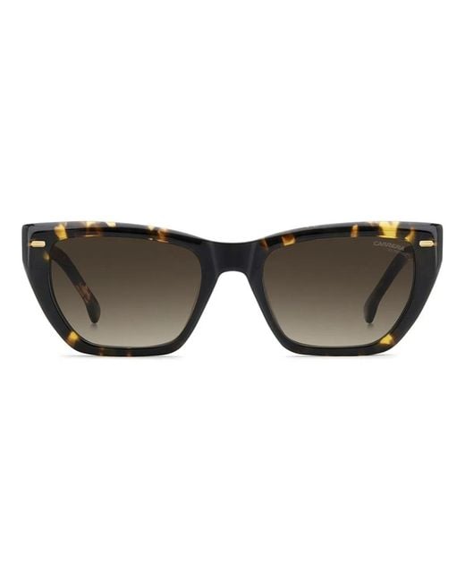 Carrera Black 3081/S 086(Ha)