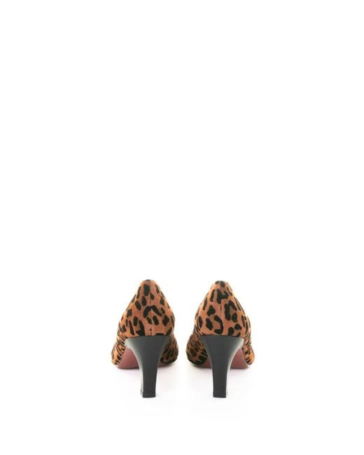 Roberto Festa Brown Leopard Suede Pumps