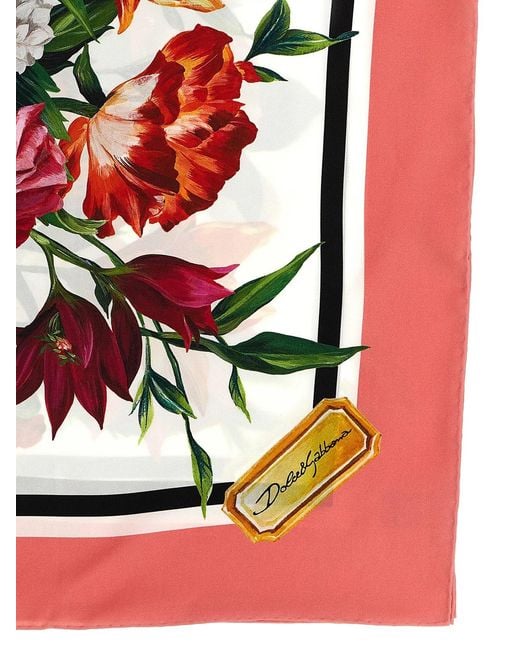 Dolce & Gabbana Pink Dolce & Gabbana Floral Print Scarf