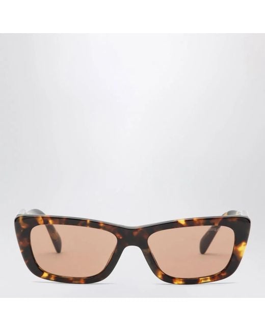 Miu Miu Brown Eyewear Collection Honey Havana Sunglasses