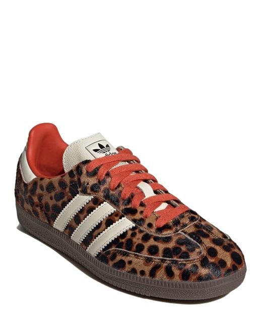 Adidas Originals Brown Samba Og Shoes
