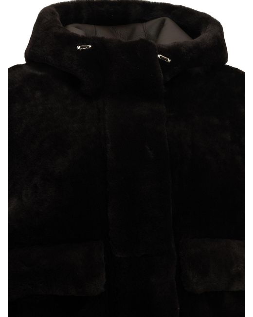 Blancha Black Jackets & Coats