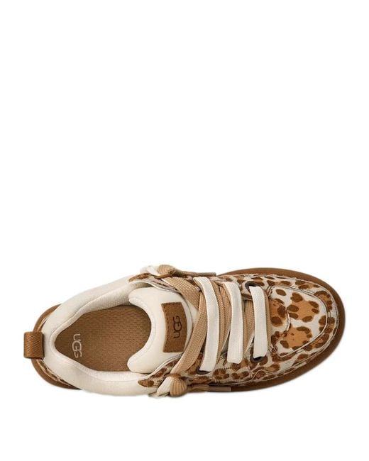 Ugg Brown Lo Lowmel Plains Trainers