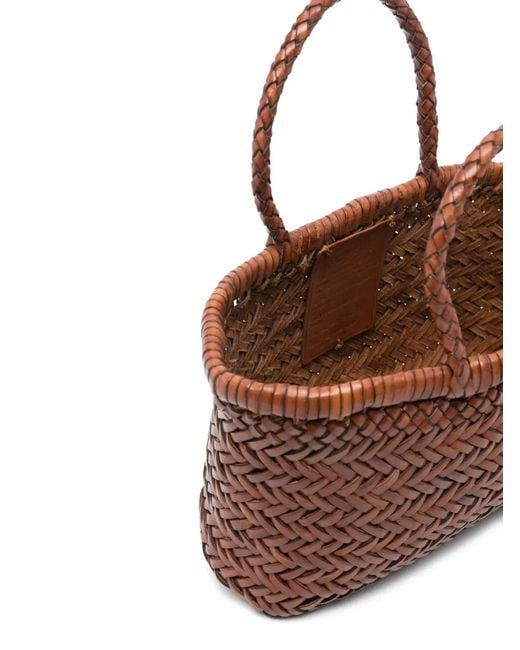Dragon Brown Gora