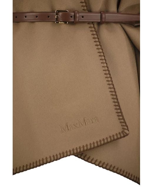 Max Mara Brown Mxacolomba