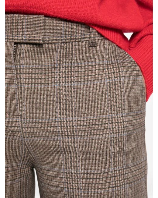 Circolo 1901 Brown Cotton Trousers