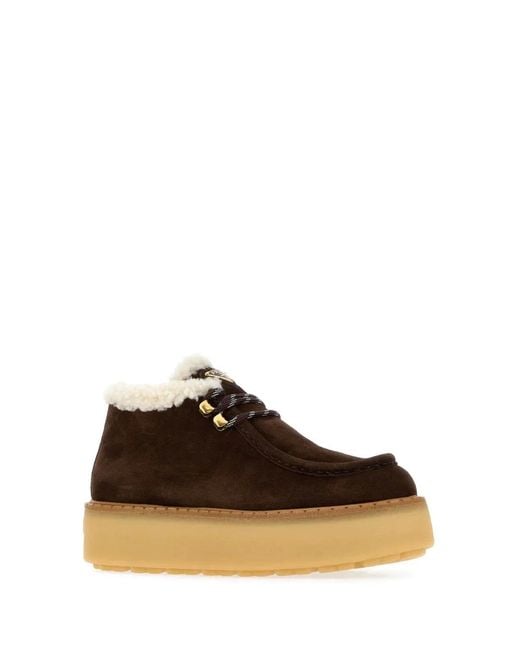 Prada Brown Allacciate