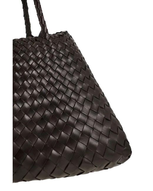 Dragon Black Santa Croce Small