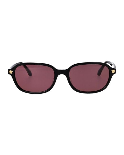 Versace Purple Acetate Sunglasses