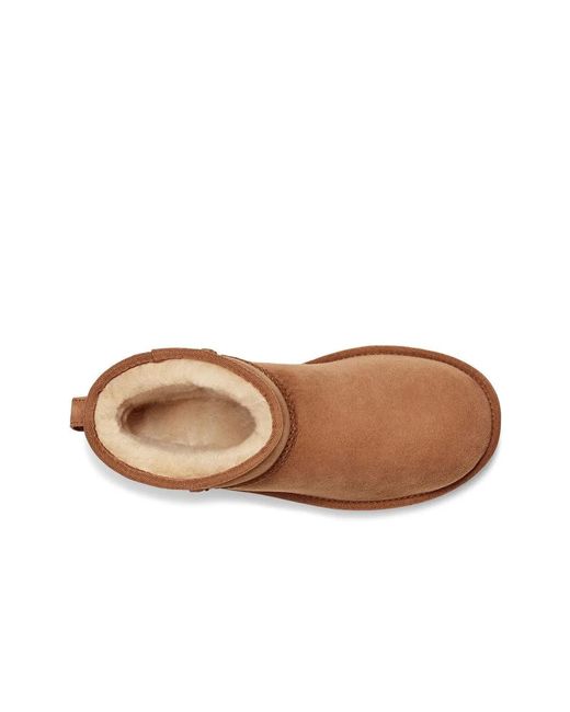 Ugg Brown Classic Mini Ii Suede Boots With Shearling Lining