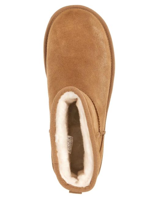 Ugg Brown 'Classic Mini Platform' Ankle Boots