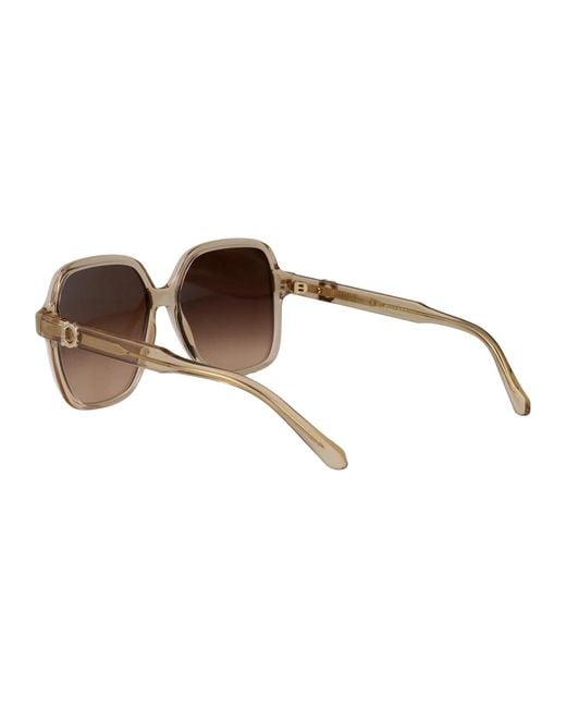 Ferragamo Brown Transparent Acetate Sunglasses