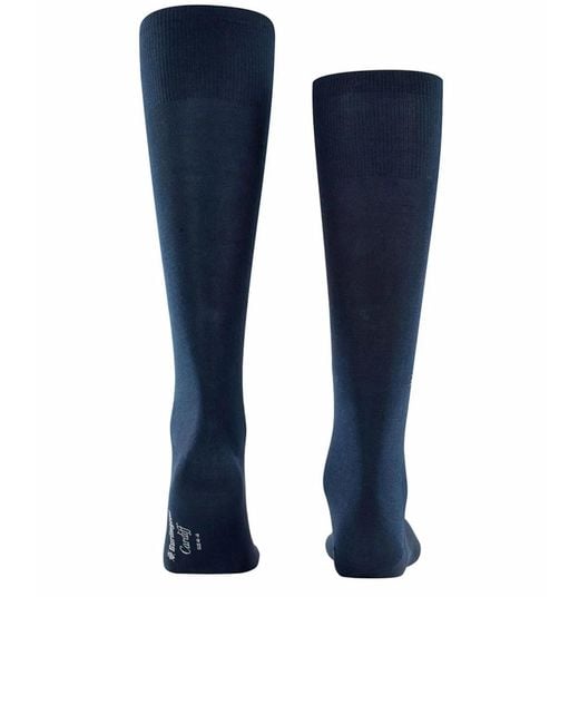 Burlington Blue Cardiff Knee-High Socks for men