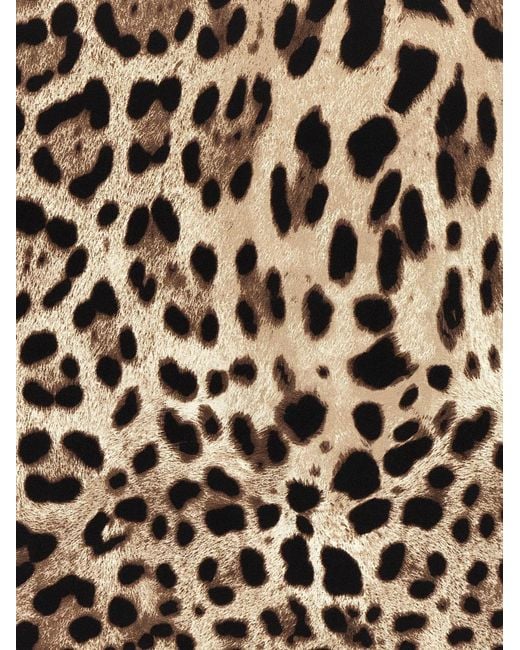 Dolce & Gabbana Multicolor Dolce & Gabbana 'Leopardo' Scarf