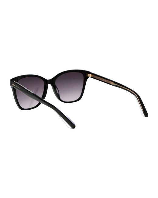 Calvin Klein Brown Acetate Sunglasses