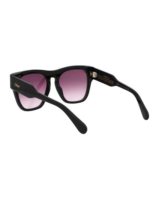 Chloé Brown Acetate Sunglasses