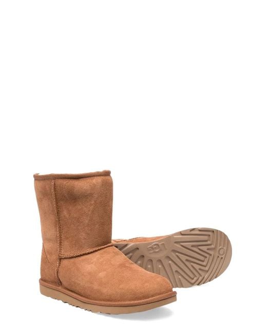 Ugg Brown Classic Ii Chestnut