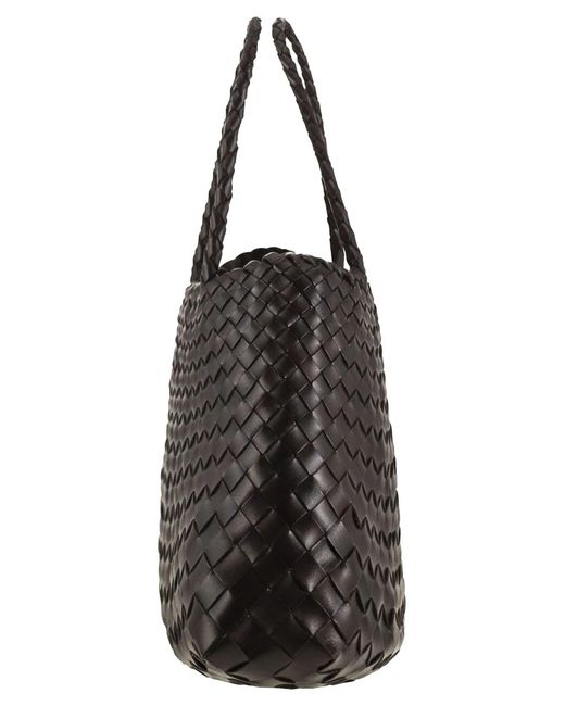 Dragon Black Santa Croce Small