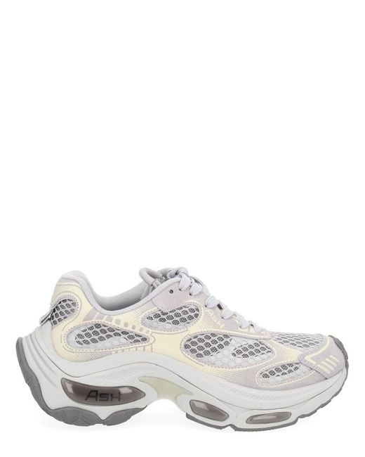 Ash White "Dragon" Sneaker