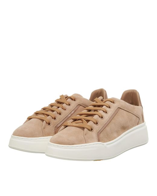 Max Mara Brown Low-Top Sneaker