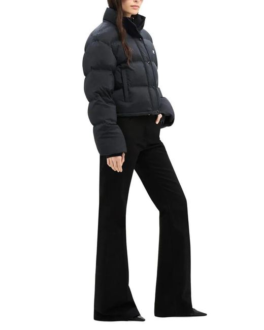 Courreges Black Cropped Puffer Jacket