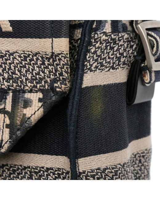 Dior Metallic Hobo Bags