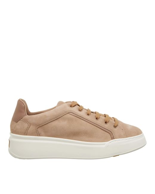 Max Mara Brown Low-Top Sneaker