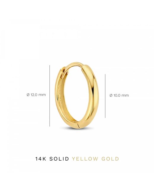Isabel Bernard Metallic Ohrringe