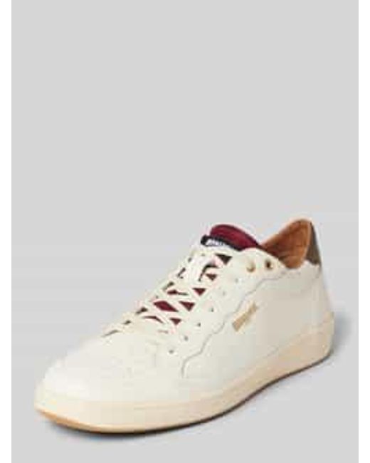 Blauer Usa Sneakers Met Labelprint in het Natural voor heren