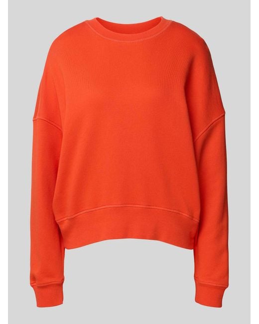 Juvia Sweaters in het Orange