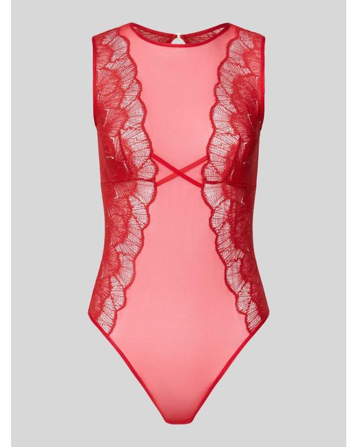 Triumph Body's in het Pink