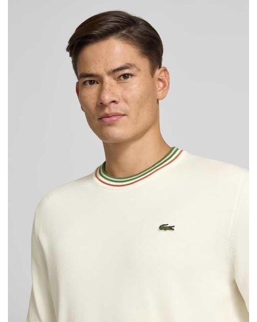 Lacoste Regular Fit Strickpullover aus reiner Baumwolle in Natural für Herren