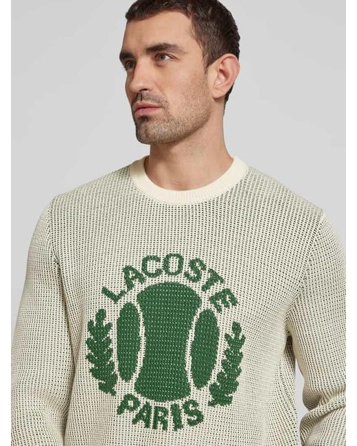 Lacoste Strickpullover Mit Label-Print in Green für Herren