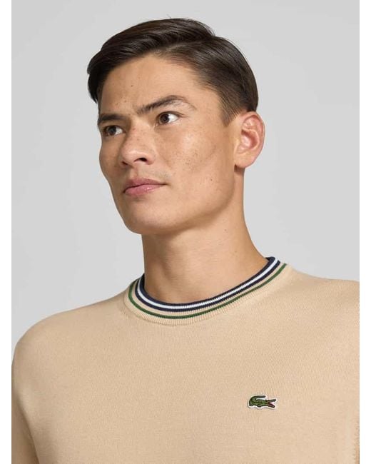Lacoste Regular Fit Strickpullover aus reiner Baumwolle in Natural für Herren