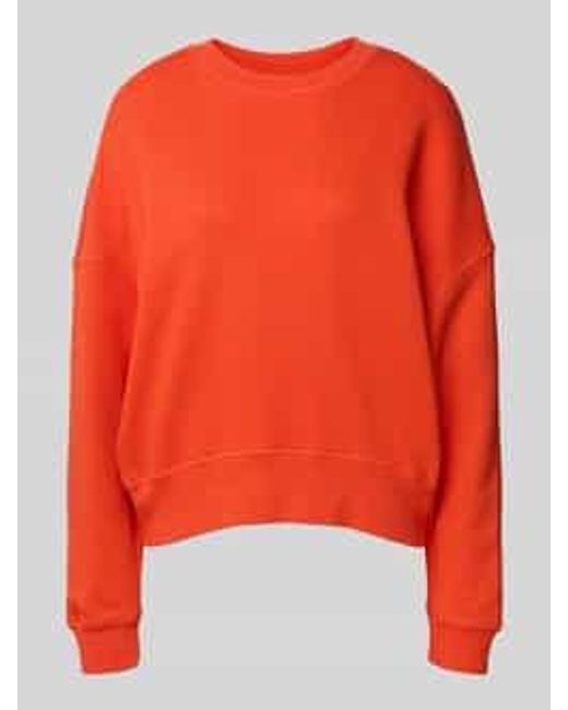 Juvia Sweaters in het Orange