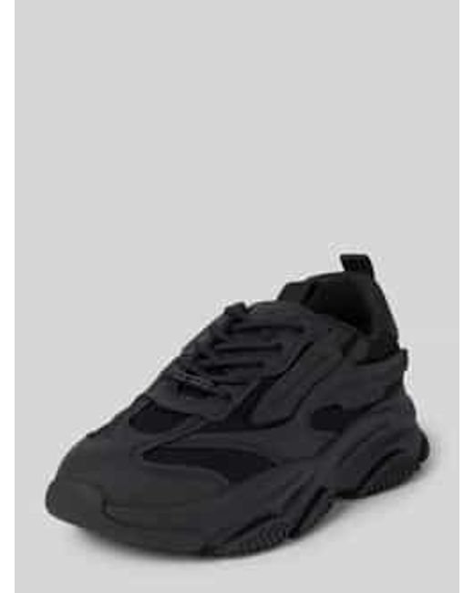 Steve Madden Sneakers Met Vetersluiting in het Black voor heren
