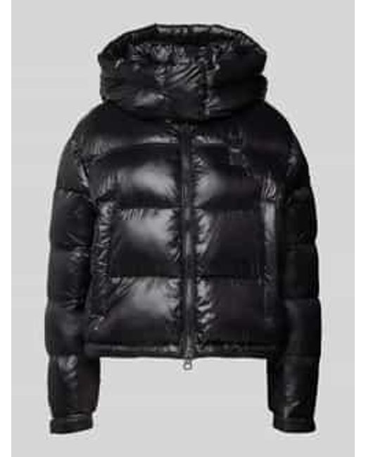 Blauer Usa Gewatteerd Jack Met Capuchon, Model 'Gloria' in het Black